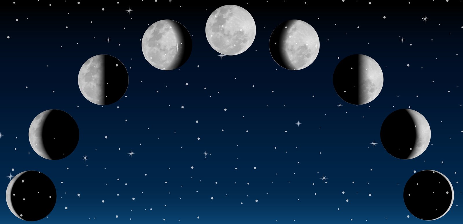 Phases of the moon for science education illustration